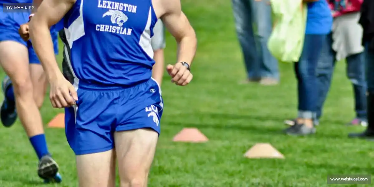 <strong>K1体育</strong>🥊拳击场的每一拳，都是对平庸生活的全力反击！