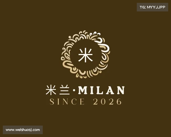 关于米兰·milan